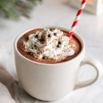 Creamy homemade Christmas hot cocoa topped with whipped cream, chocolate chips, and festive red and green sprinkles in a white mug.