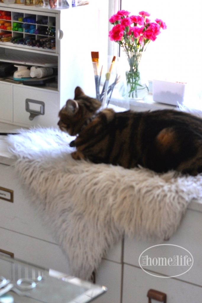 home office sneak peek with cozy cat corner | cat window perch ideas via firsthomelovelife.com