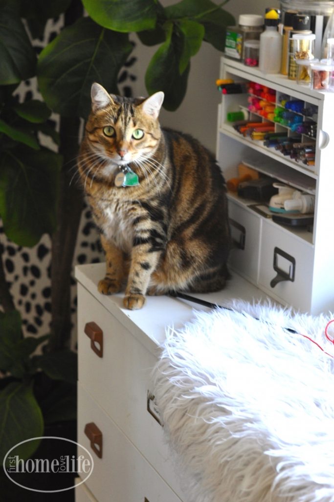 home office sneak peek with cozy cat corner | cat window perch ideas via firsthomelovelife.com