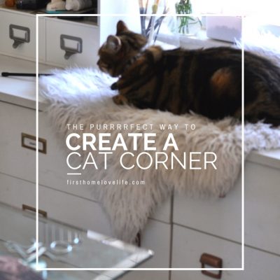 Cozy Cat Corner | Home Office