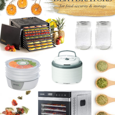 Best Dehydrators for Food Security and Storage