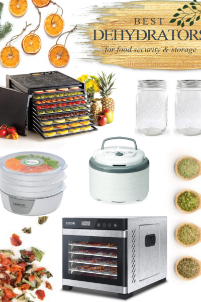 Best dehydrators for food security and storage