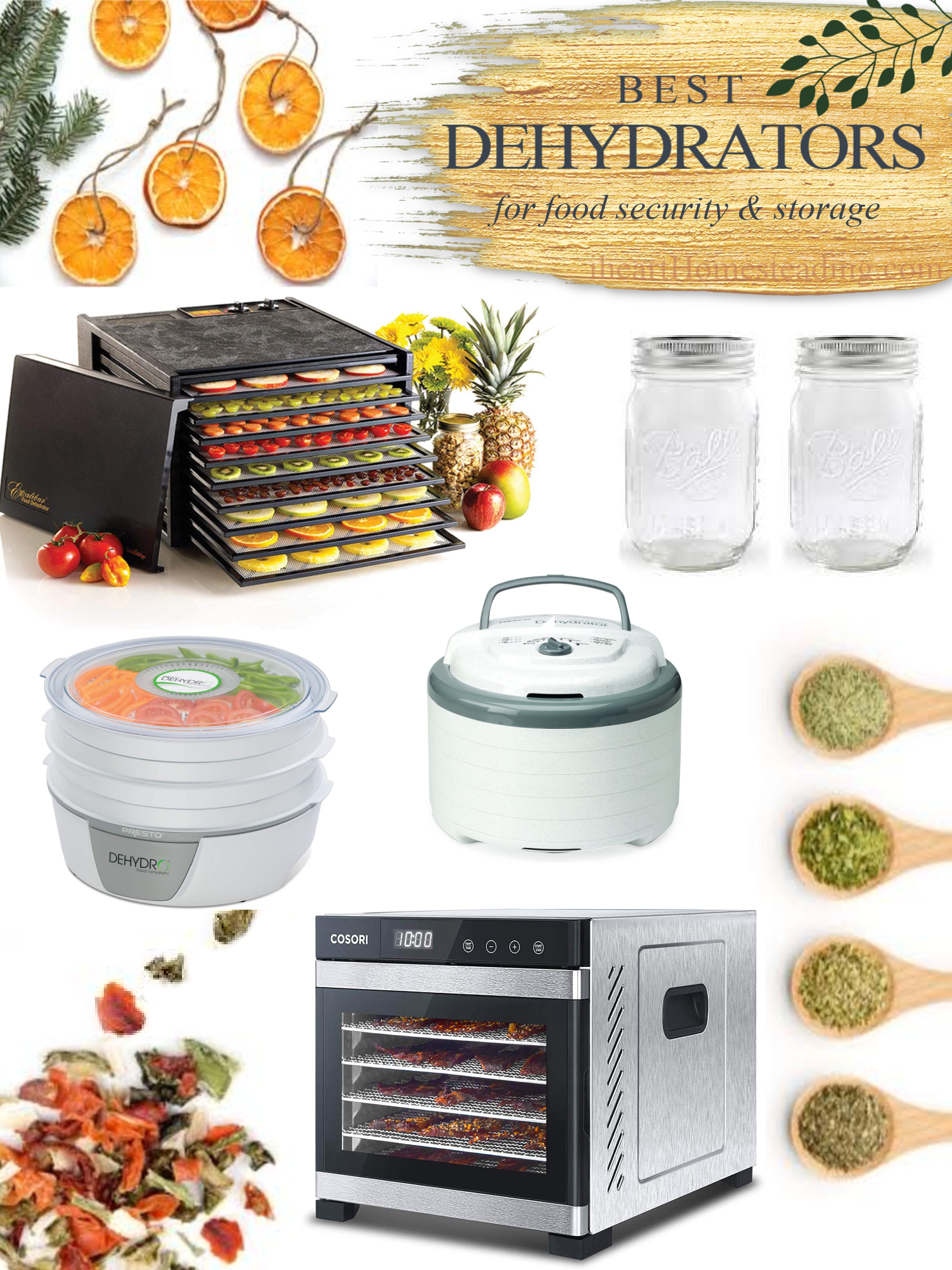 Best dehydrators for food security and storage