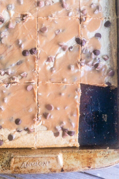 Easy to make chocolate chip peanut butter bars with PB glaze