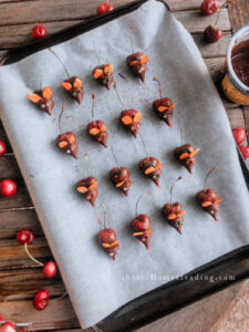 Chocolate Covered Cherry Mice