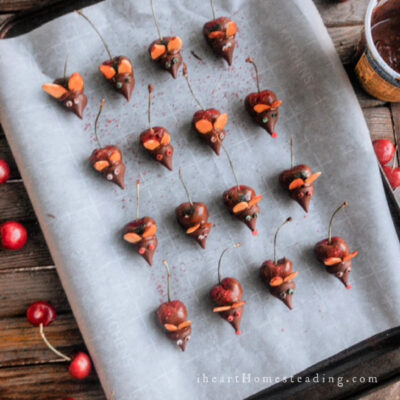 Chocolate Covered Cherry Mice