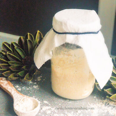 4 Easy Ways To Be Successful At Sourdough Starter