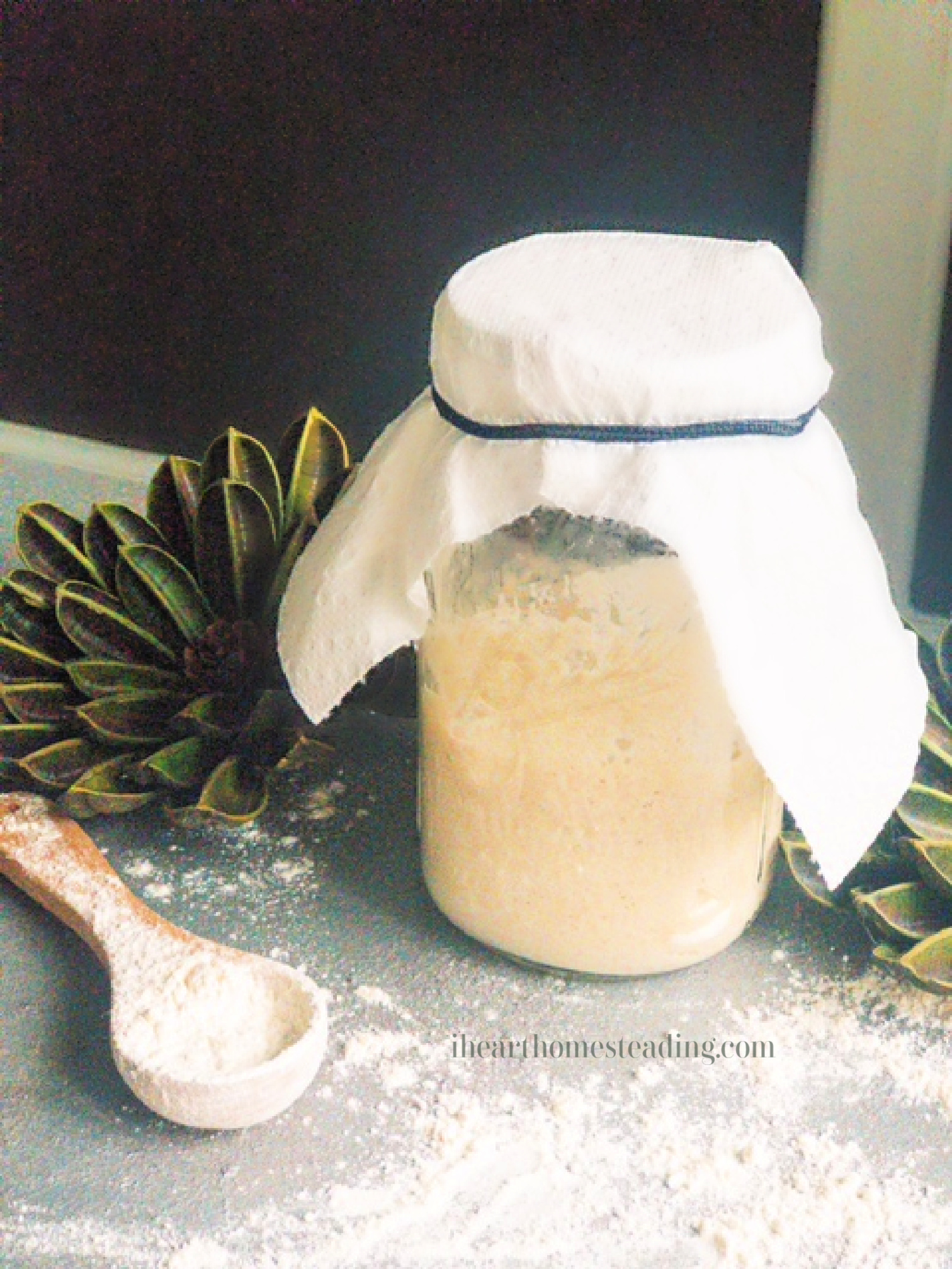 Making sourdough starter for beginners