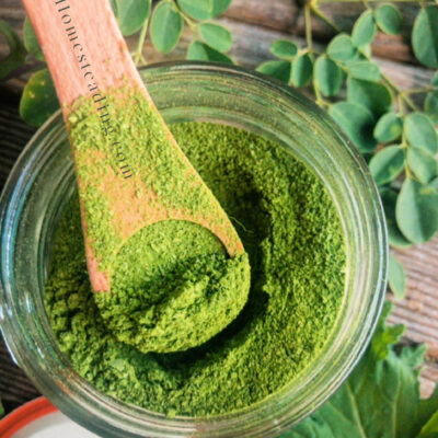 How To Make Your Own Kale & Moringa Powder