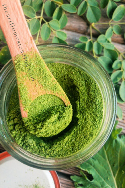 HOW TO MAKE YOUR OWN MORINGA POWDER | MAKE YOUR OWN SUPER GREENS AT HOME