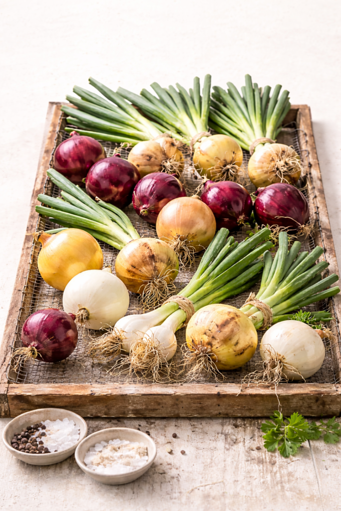 Freshly harvested red, yellow, and white onions curing on a wooden drying rack against a creamy off white background