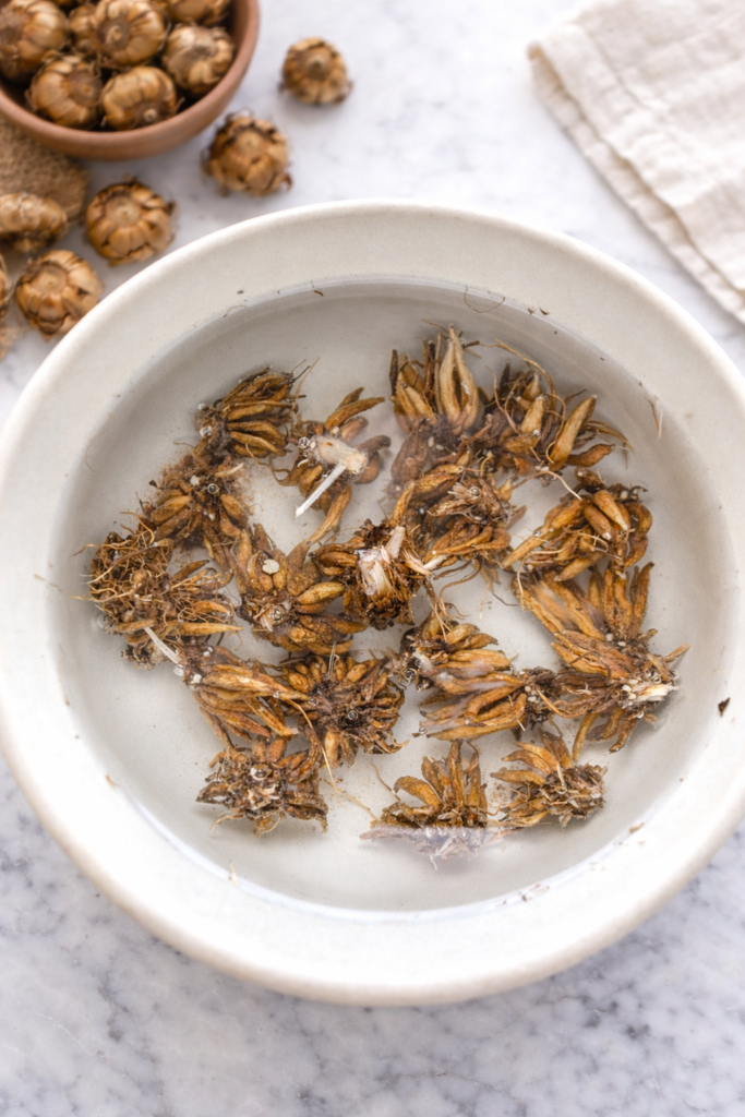 Ranunculus corms soaking in water inside a ceramic bowl on a white marble surface, showing the first step before planting ranunculus flowers.