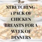 cheap chicken breast meals collage with simple budget dinners on white plates and bowls