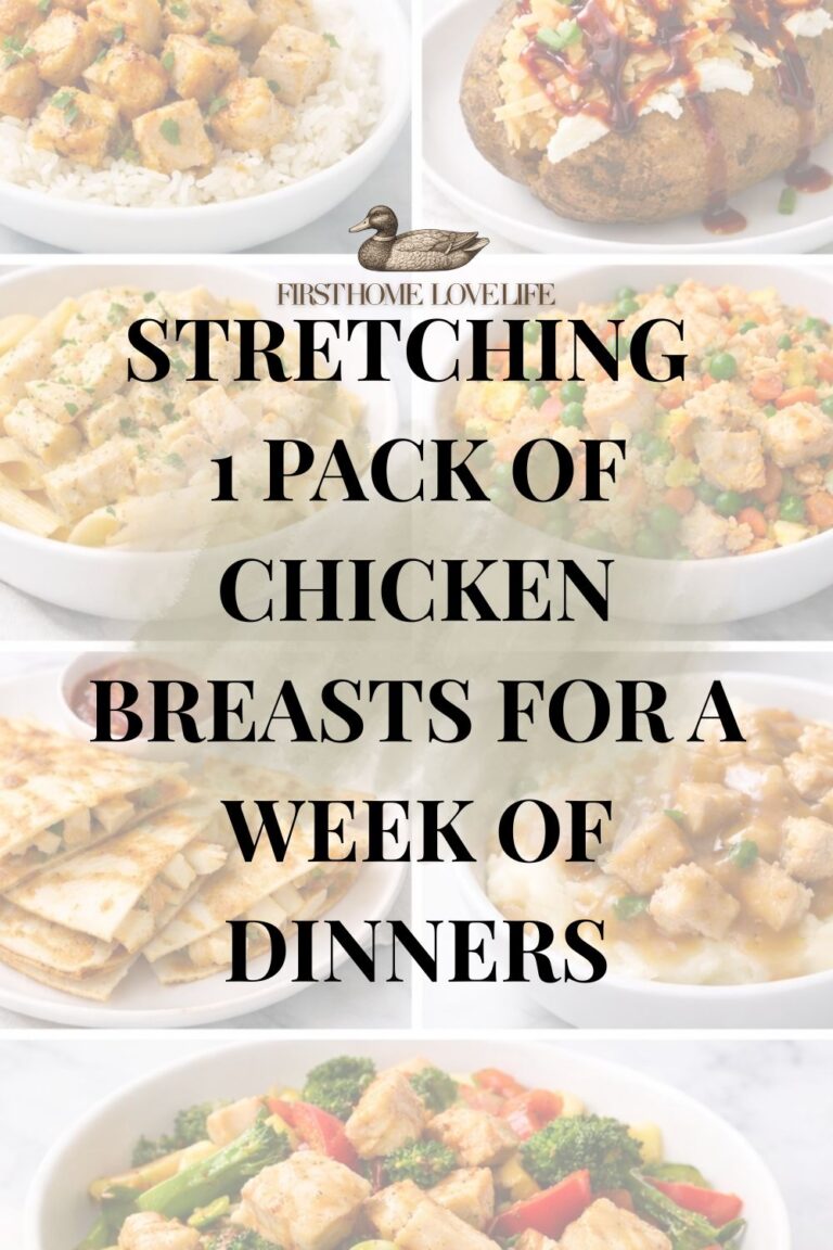 cheap chicken breast meals collage with simple budget dinners on white plates and bowls