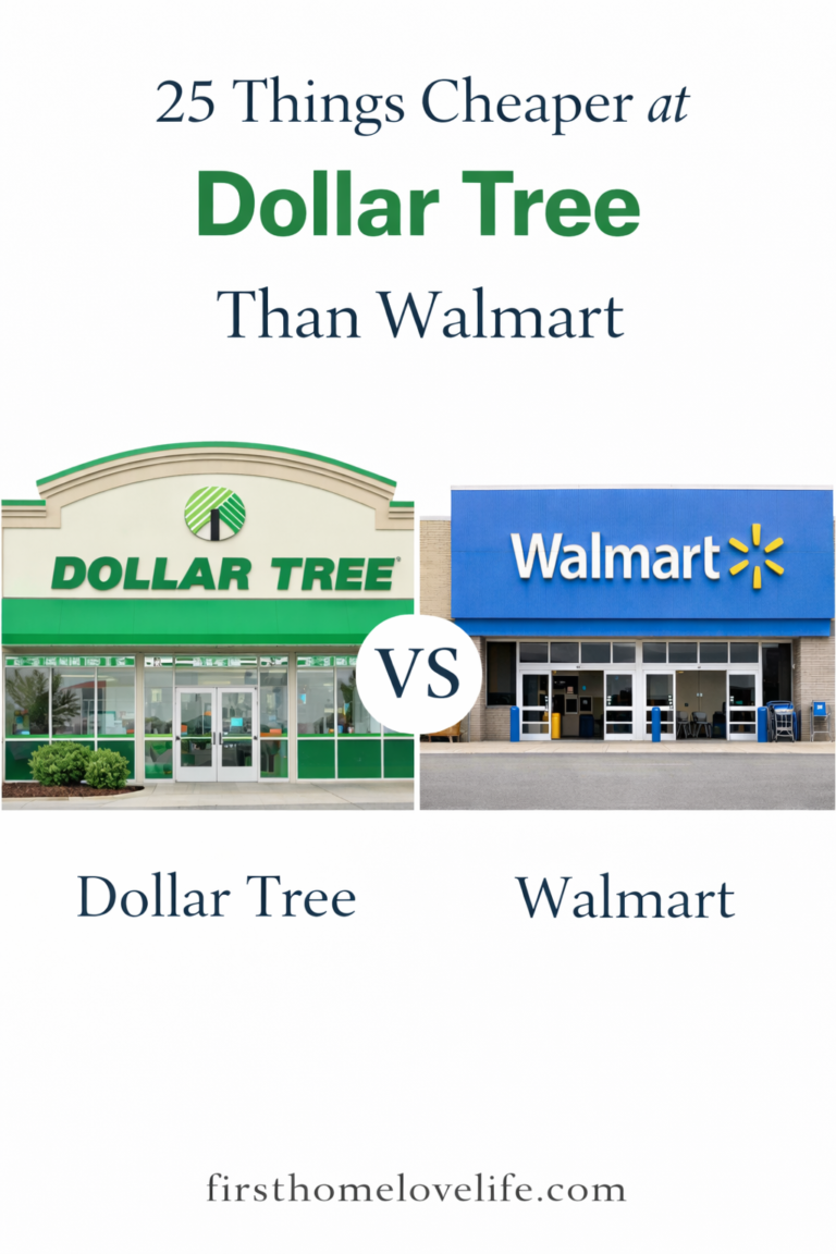 dollar tree store versus walmart store comparison showing where items are cheaper