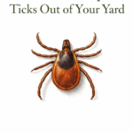 Illustration of a tick with the title “How to Keep Ticks Out of Your Yard” and the website firsthomelovelife.com on a clean white background.