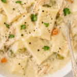 Creamy Dolly Parton-inspired chicken and dumplings with shredded chicken and homemade rectangular rolled dumplings
